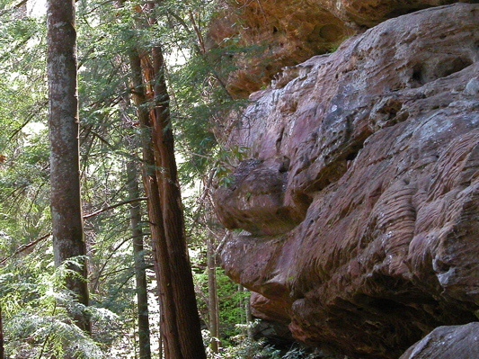 Eroded sandstone. 