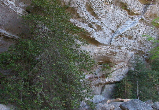 Eroded sandstone II.