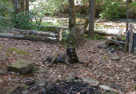 Camp on Rock Creek.