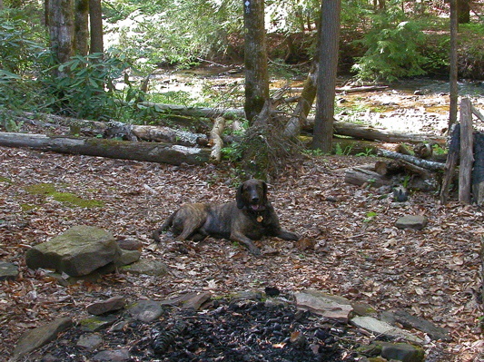 Camp on Rock Creek.