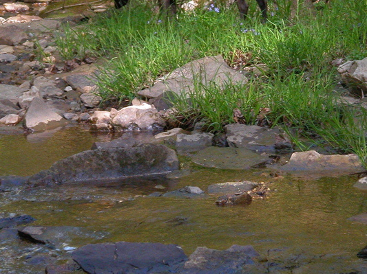 Pixel and Rock Creek.