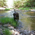 Pixel and Rock Creek II.