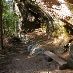 1930's CCC trail rest bench.