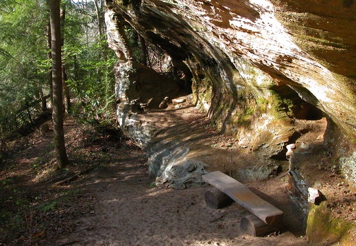 1930's CCC trail rest bench.