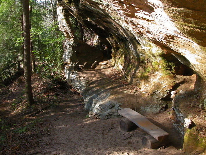 1930's CCC trail rest bench.