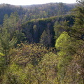 Scenic overlook to Rock Creek spring foliage.