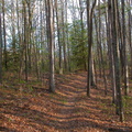 Hidden Passage ridge top trail.