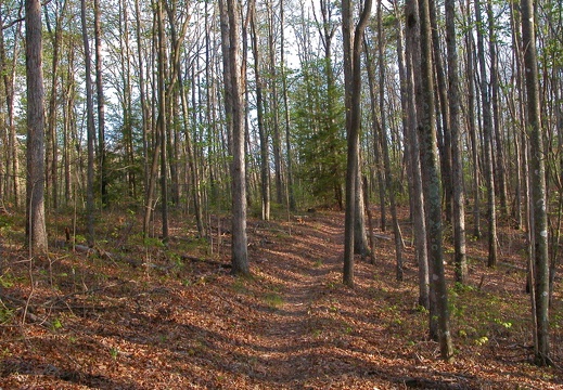 Hidden Passage ridge top trail.