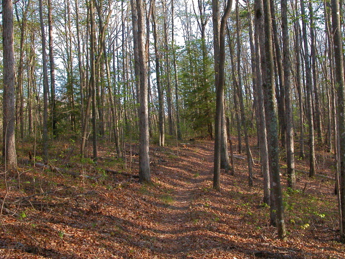 Hidden Passage ridge top trail.