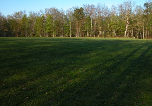 Field near Pickett Group Camp.
