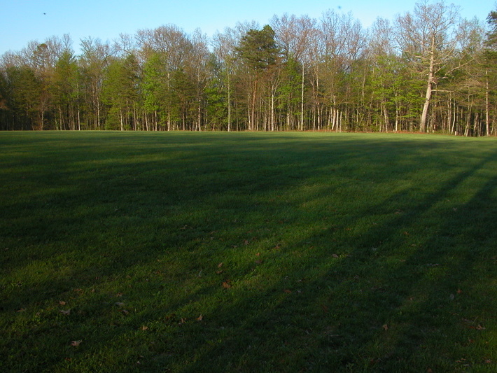 Field near Pickett Group Camp.