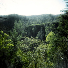 Scenic View over Rock Creek valley in spring.