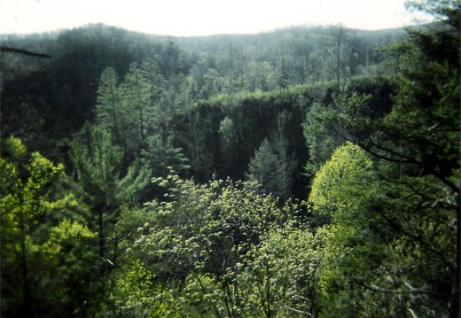 Scenic View over Rock Creek valley in spring.