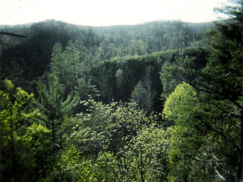 Scenic View over Rock Creek valley in spring.