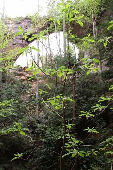 Tue 01 May 2007 04:47:54 PM EDT