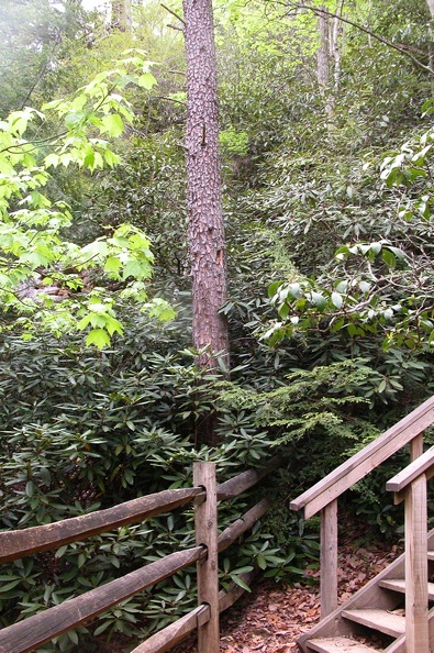 Tue 01 May 2007 04:49:58 PM EDT