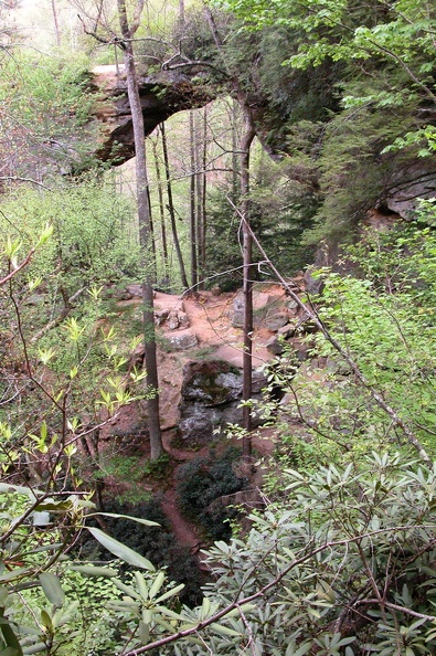 Tue 01 May 2007 04:54:36 PM EDT