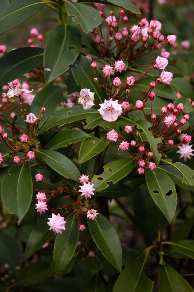 Tue 01 May 2007 05:10:22 PM EDT