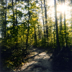 Trail to Butterfly Hill
