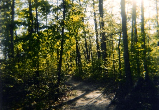 Trail to Butterfly Hill