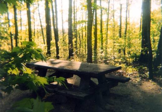 Gray's Arch Picnic Area