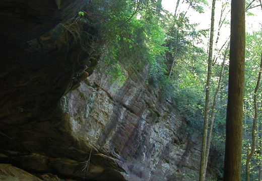 May 8: D. Boone Hut & Martin's Fork, Red River Gorge