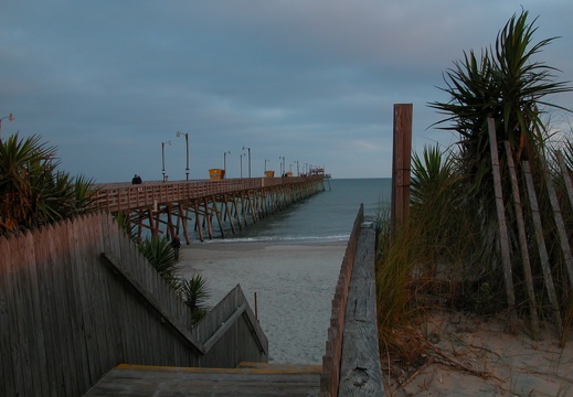 May 14-22: Bogue Bank & Cape Lookout, North Carolina