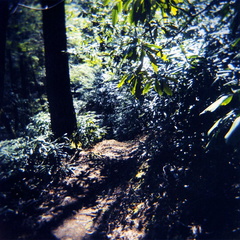 Pine Mountain Trail. Valley in Light.