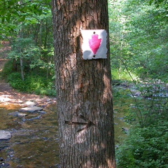 Historic, obsolete trail sign (replaced with plastic signs).