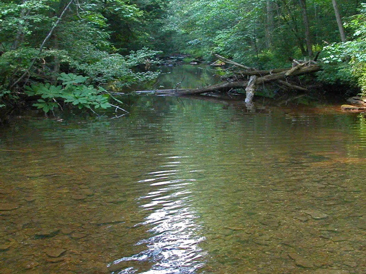 Laurel Fork Creek.