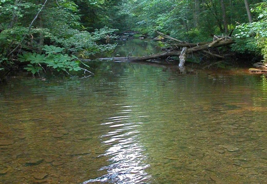 Laurel Fork Creek.