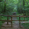 Horse trail crosses Laurel Fork Creek Trail.