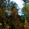 Photographer's reflection in pool. Laurel Fork Creek.