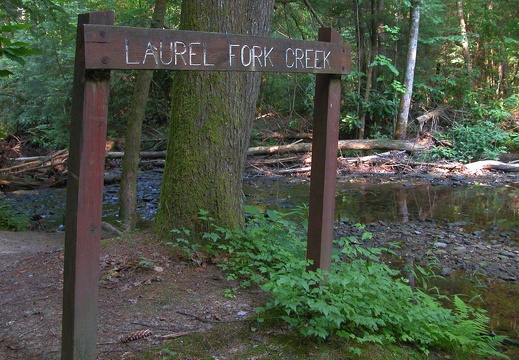 One of many crossings. Laurel Fork Creek.