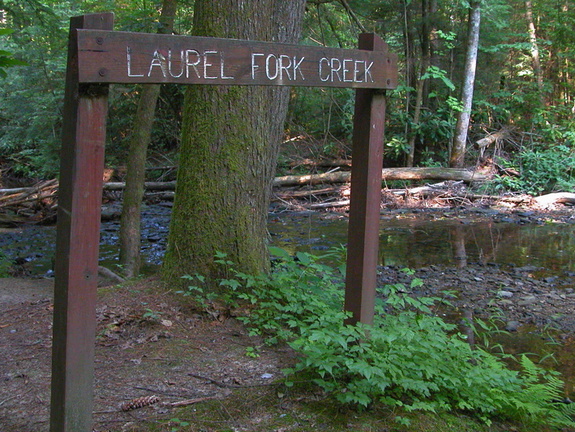 One of many crossings. Laurel Fork Creek.