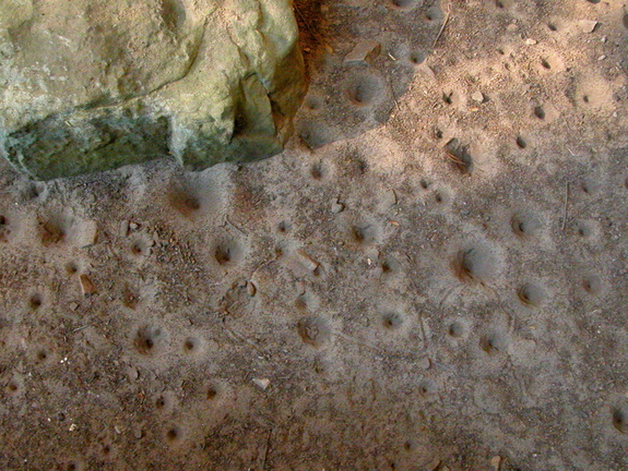 Sand floor beneath rock house lip has pitted impressions from repeated, steady water dripping.