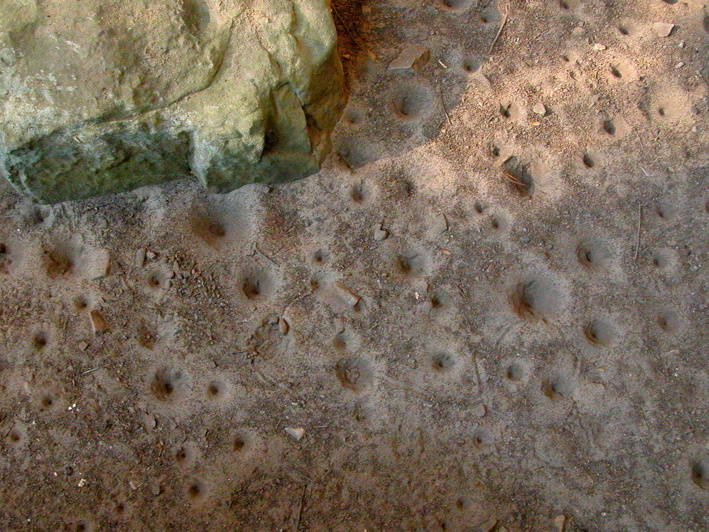 Sand floor beneath rock house lip has pitted impressions from repeated, steady water dripping.