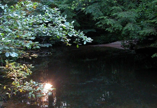 Two sun orbs. Laurel Fork Creek.