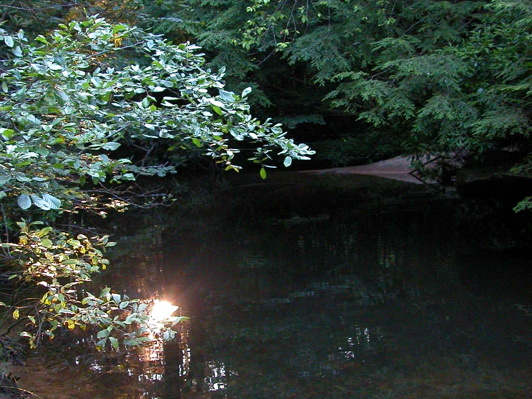 Two sun orbs. Laurel Fork Creek.