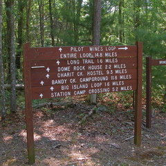 Station Camp Creek, Pilot-Wines Loop, Equestrian trail.