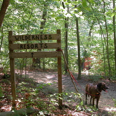 Wilderness Resorts horse camp.