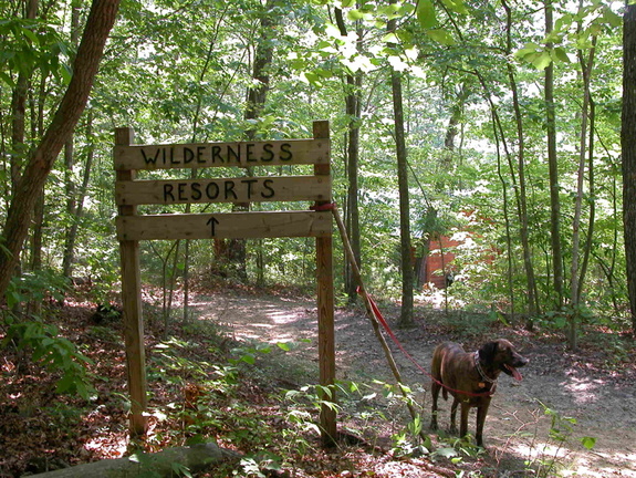 Wilderness Resorts horse camp.