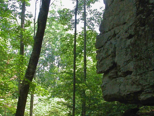 Campsite. End of ridge before Pilot Knob.