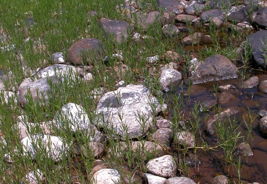 River stone and grass.