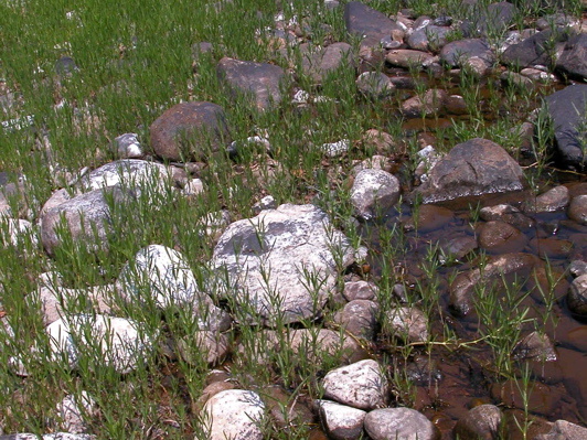 River stone and grass.