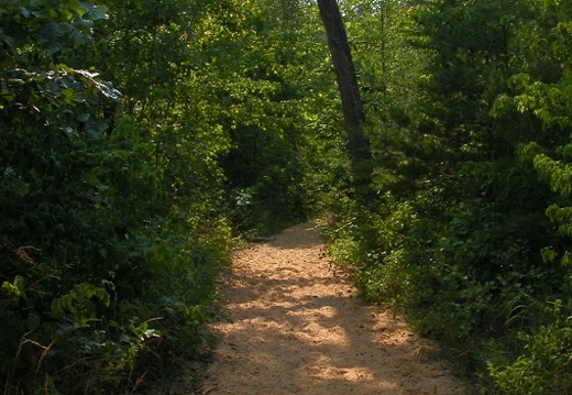 Groomed trail conditions on Station Camp Creek horse trails.