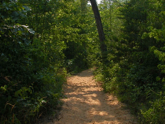 Groomed trail conditions on Station Camp Creek horse trails.