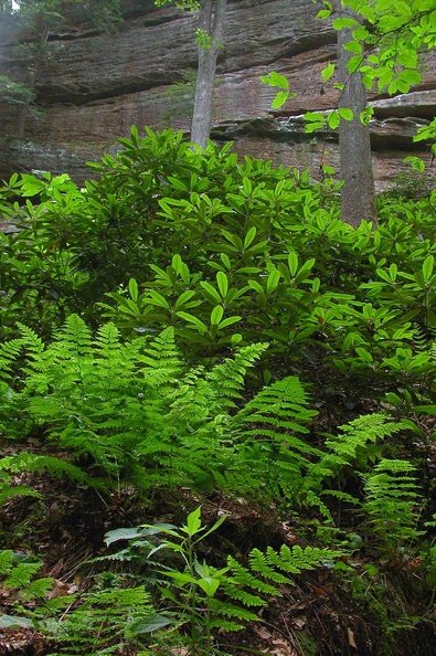 Sun 24 Jun 2007 02:45:40 PM EDT