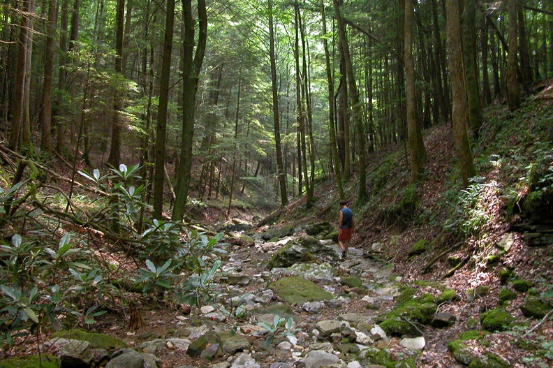 Sun 24 Jun 2007 03:09:08 PM EDT