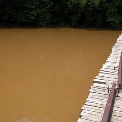 Old Leatherwood bridge across swollen Big South Fork. 